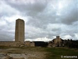 Torre y Puerta del Campo