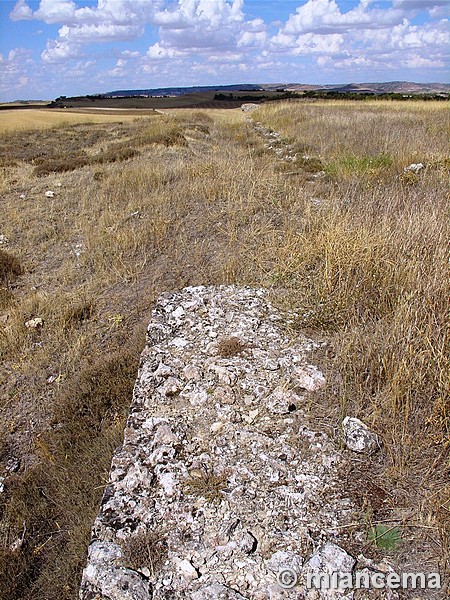 Cerro de La Muela