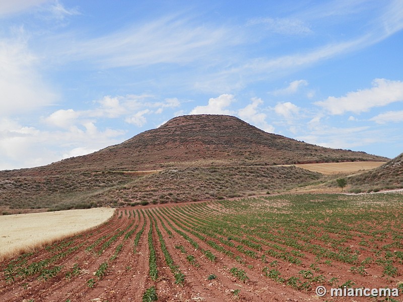 Castillo del cerro Amasatrigo