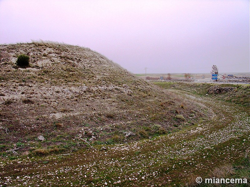 Contrebia Carbica