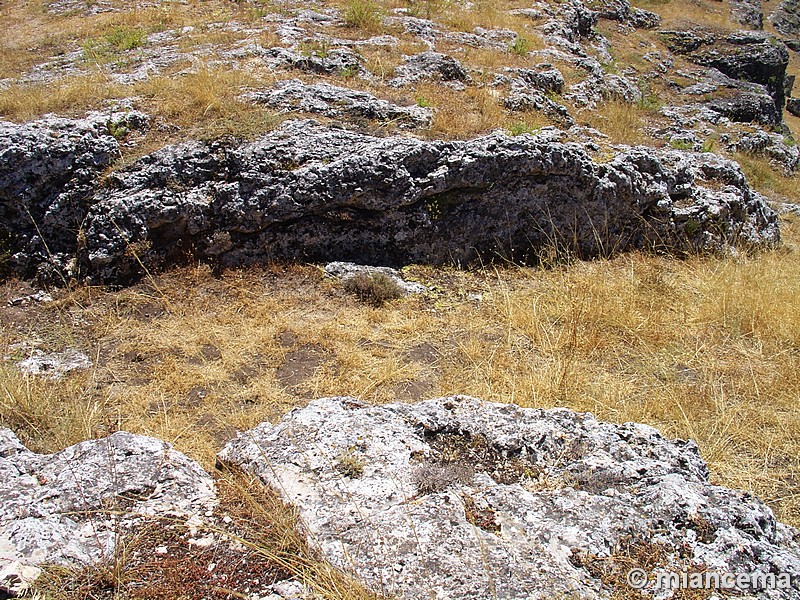 Castro Pico de la Muela