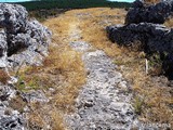 Castro Pico de la Muela