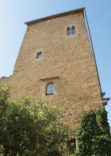 Castillo de Palau-sator