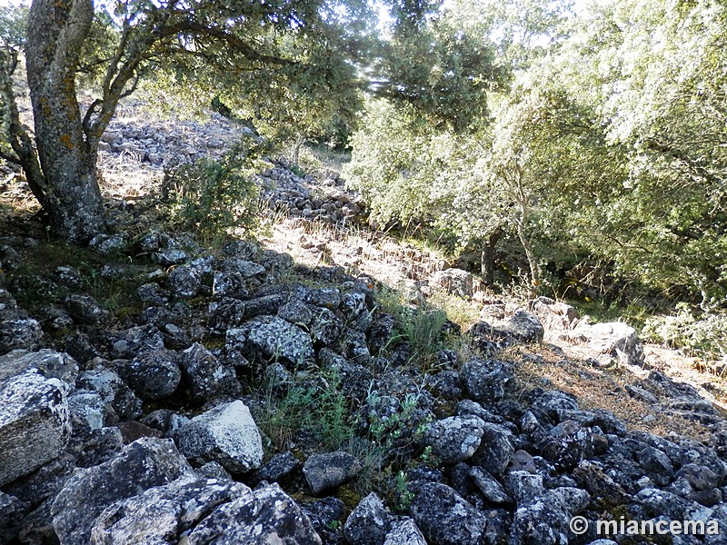 Castro de los Castillejos