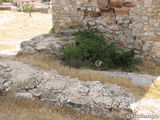 Torre de la Cigüeña