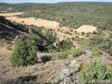 Puente medieval de Beleña de Sorbe