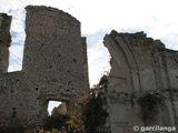 Ruinas del monasterio de la Salceda