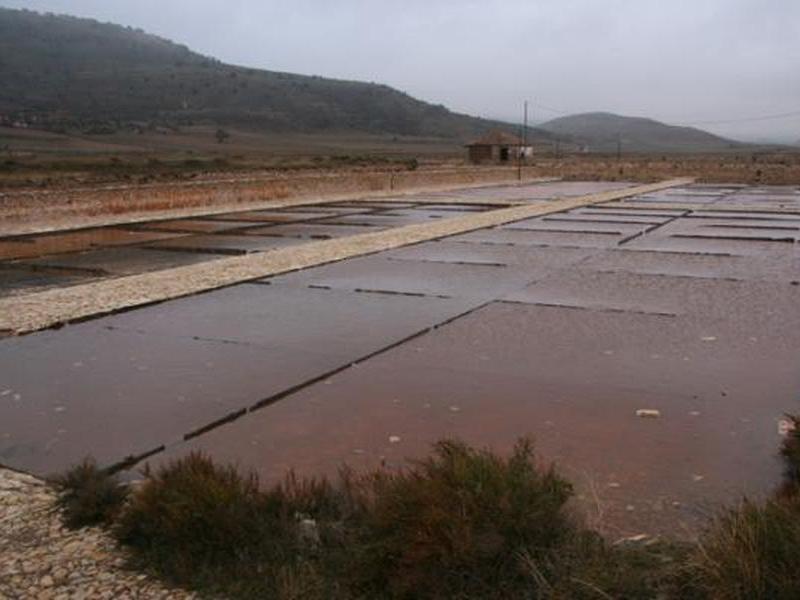 Salinas de Imón