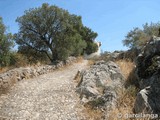 Fuerte de San Felipe y Peña