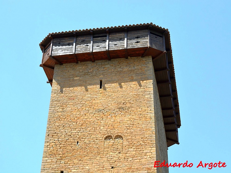 Imagen de Castillo de Abizanda