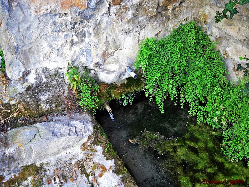 Fuente-abrevadero-lavadero de Arcusa