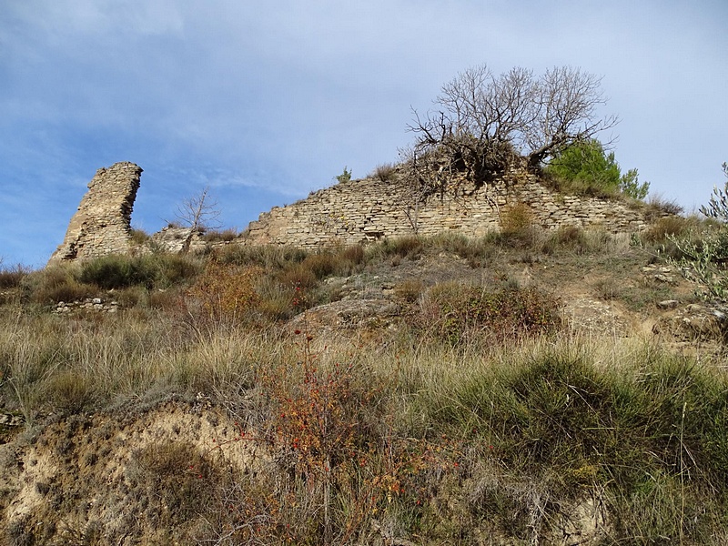 Castillo de Olsón