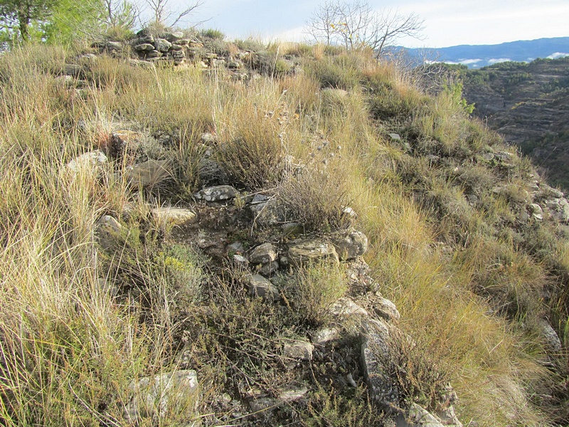 Castillo de Olsón