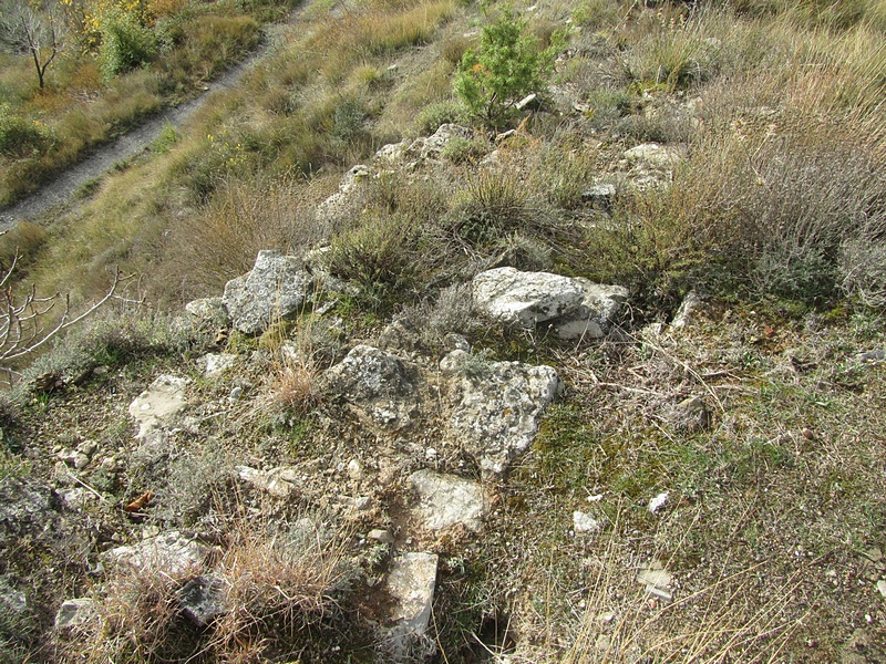 Castillo de Olsón