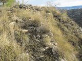 Castillo de Olsón