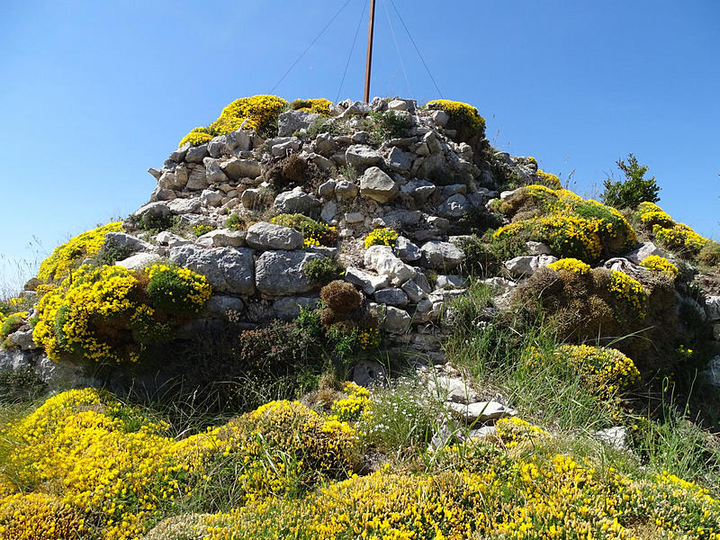 Imagen de Castillo de Surta