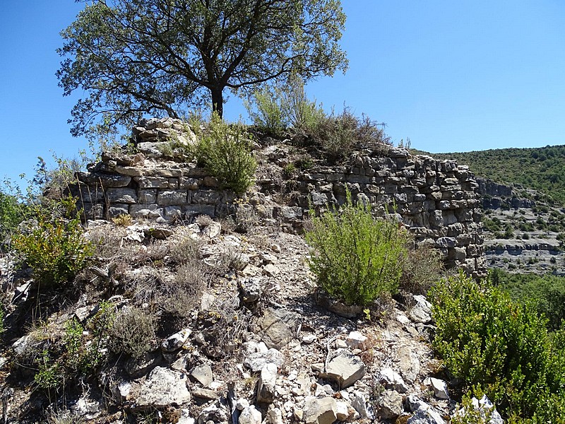 Castillo de la Zaba