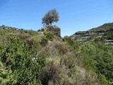 Castillo de la Zaba