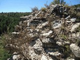 Castillo de la Zaba