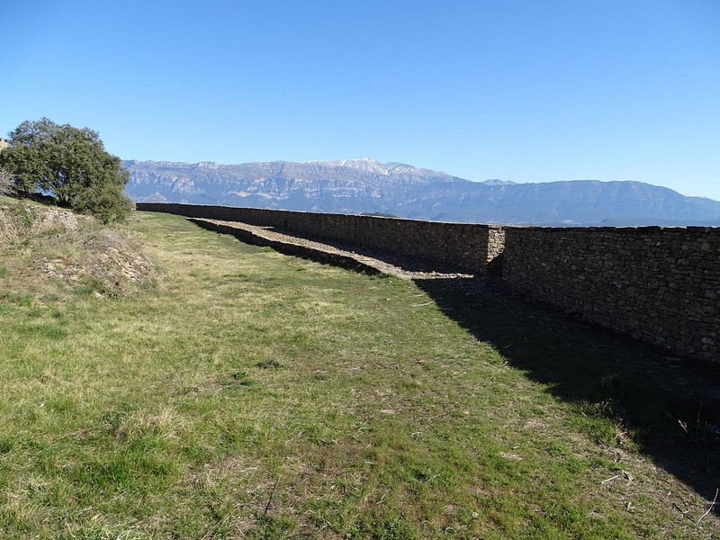 Conjunto fortificado de Muro de Roda