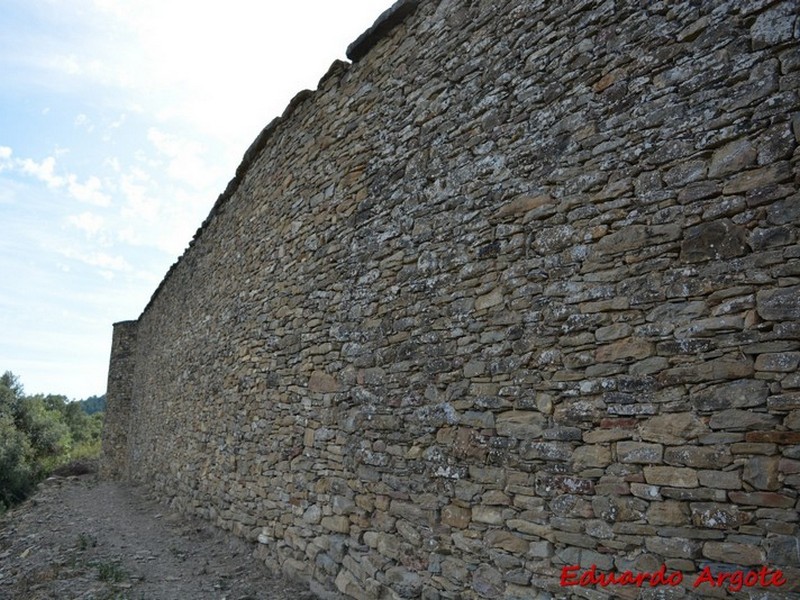 Conjunto fortificado de Muro de Roda