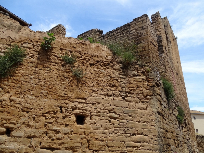 Castillo de Artasona