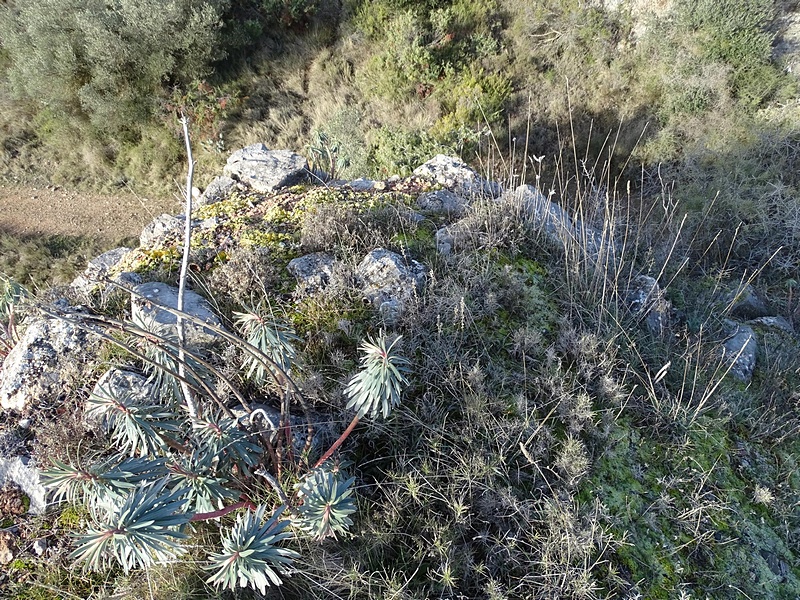 Peñón de los Moros