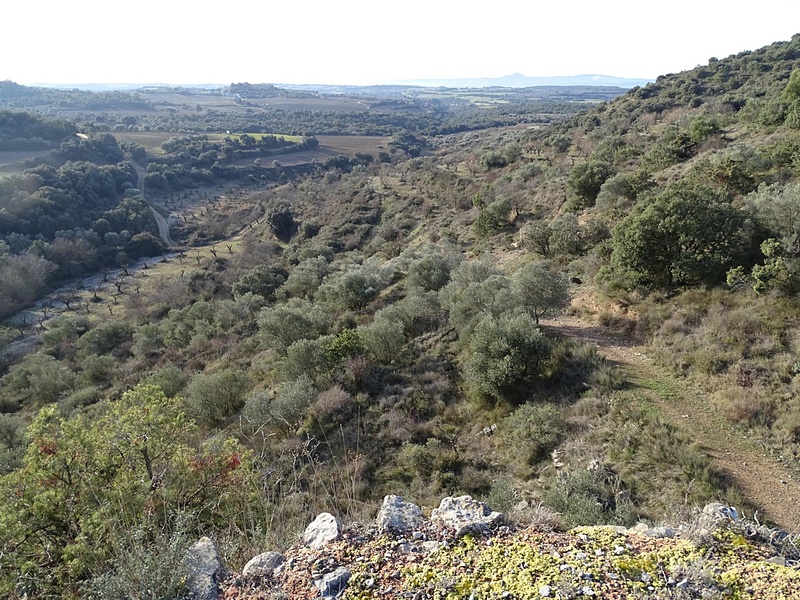 Peñón de los Moros