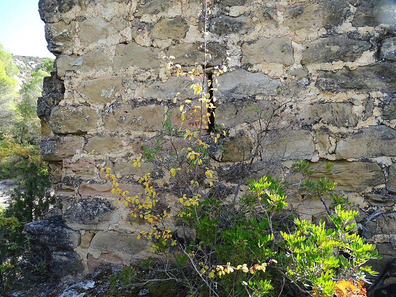 Torre de Monte Vira