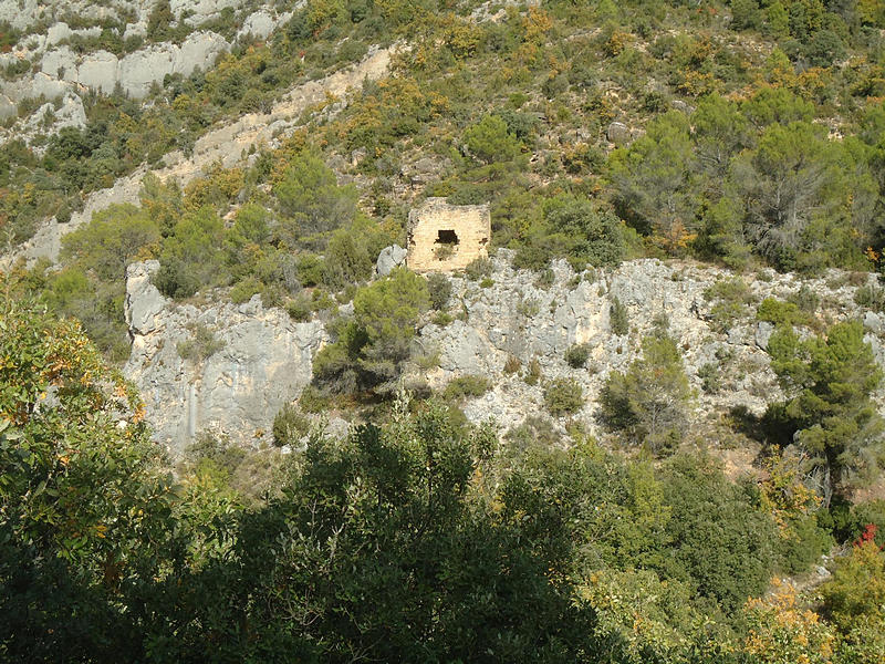 Torre de Monte Vira