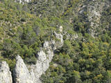 Torre de Monte Vira