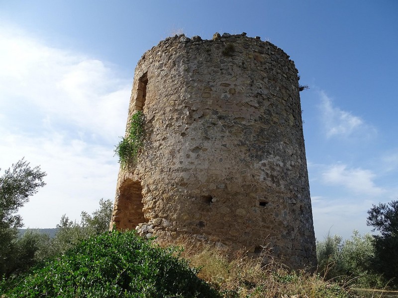 Torre de las Mimbres