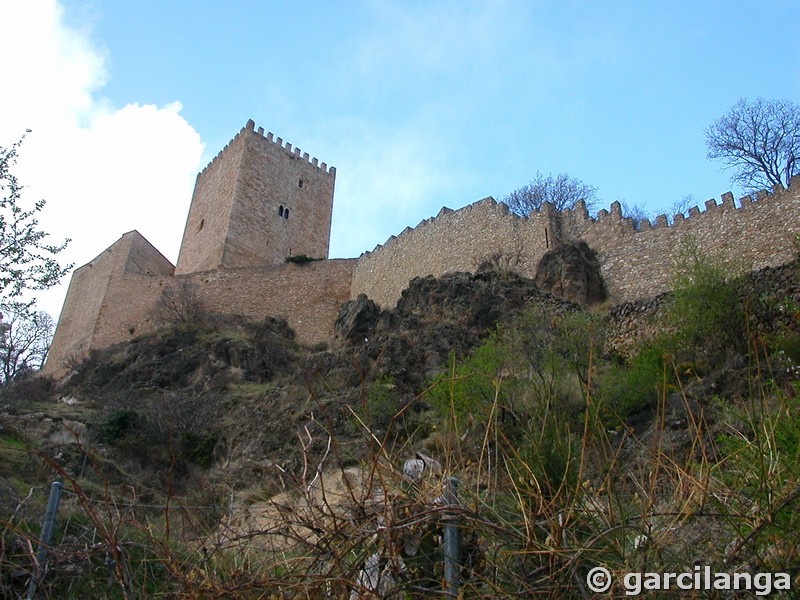 Castillo de la Yedra