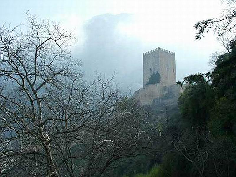 Castillo de la Yedra