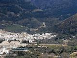 Castillo de la Yedra