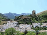 Castillo de la Yedra