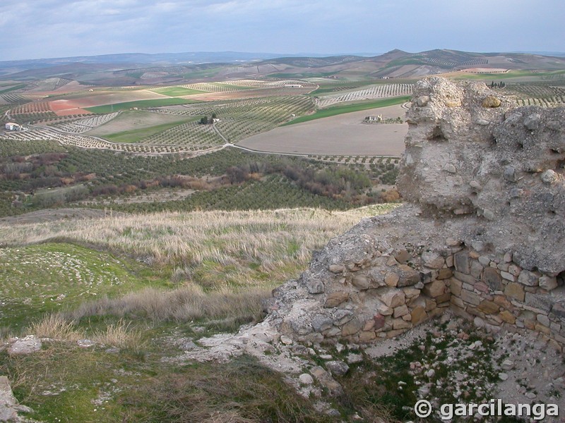 Castillo de Toya