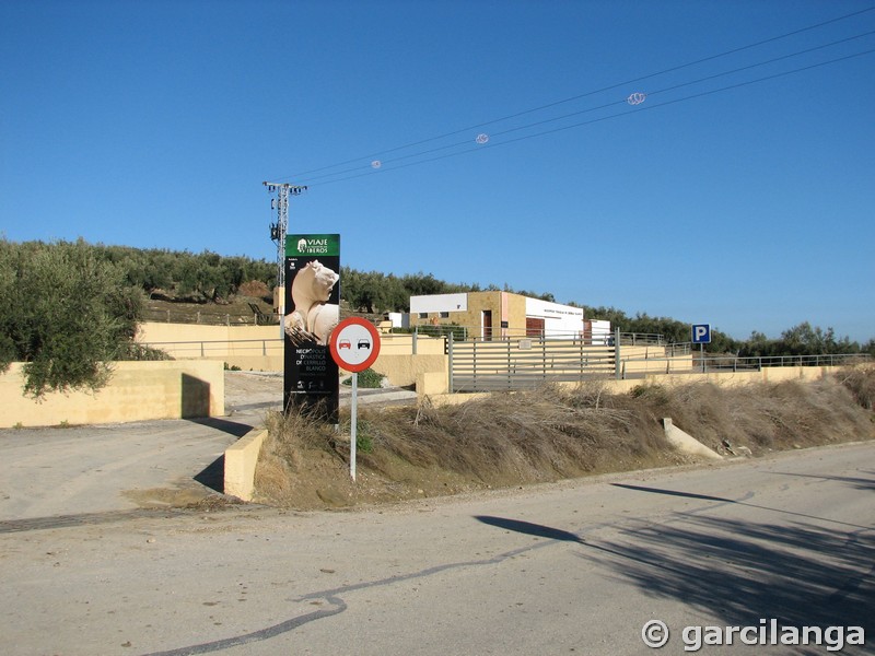 Necrópolis de Cerrillo Blanco