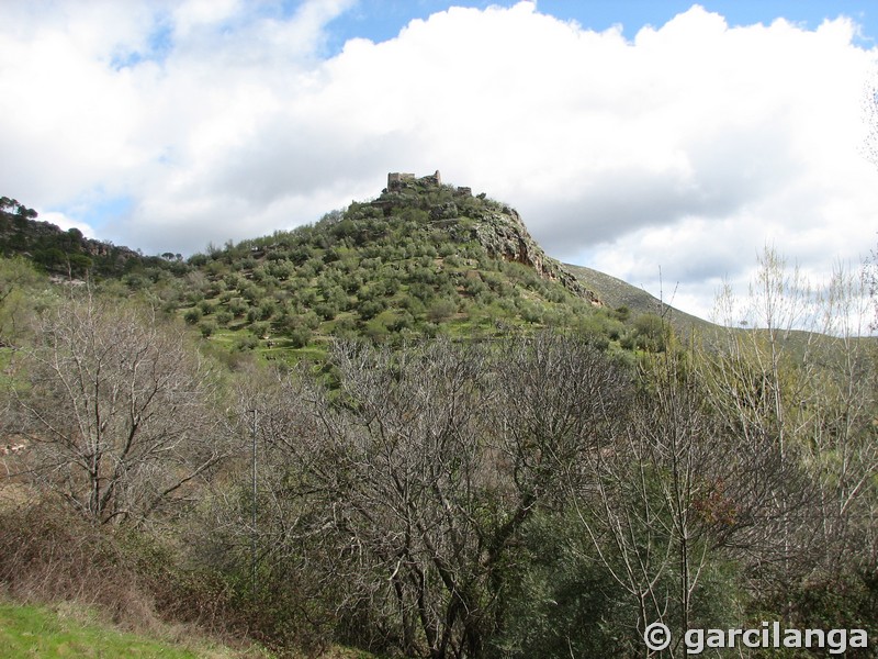 Castillo de La Espinareda