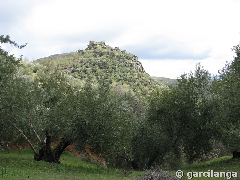 Castillo de La Espinareda