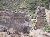 Castillo de La Espinareda