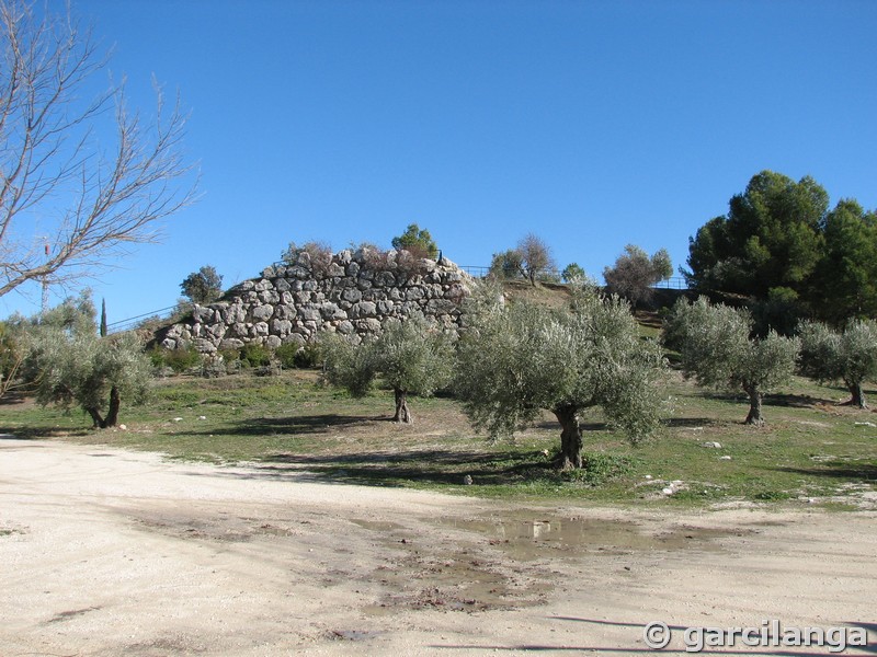 Torre de Cerro Miguelico