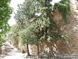 Muralla urbana de Úbeda