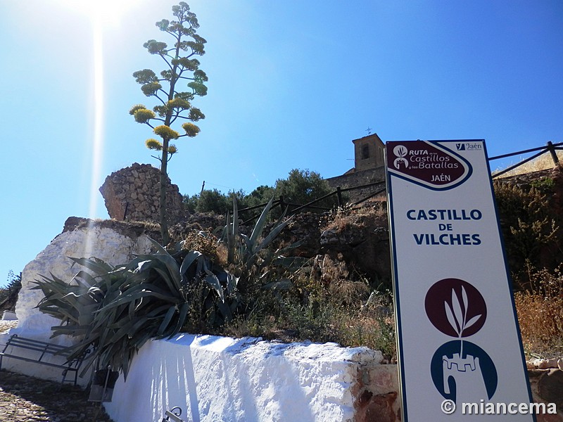 Castillo del Cerro de la Virgen