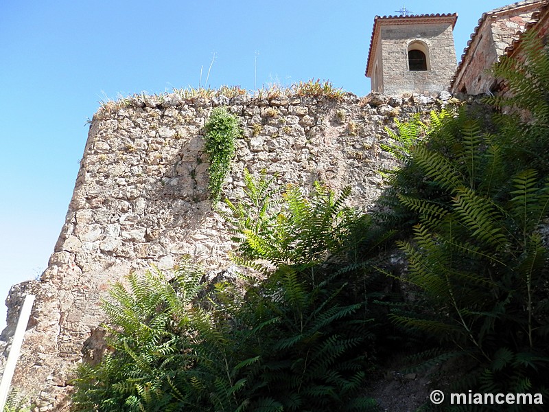 Castillo del Cerro de la Virgen