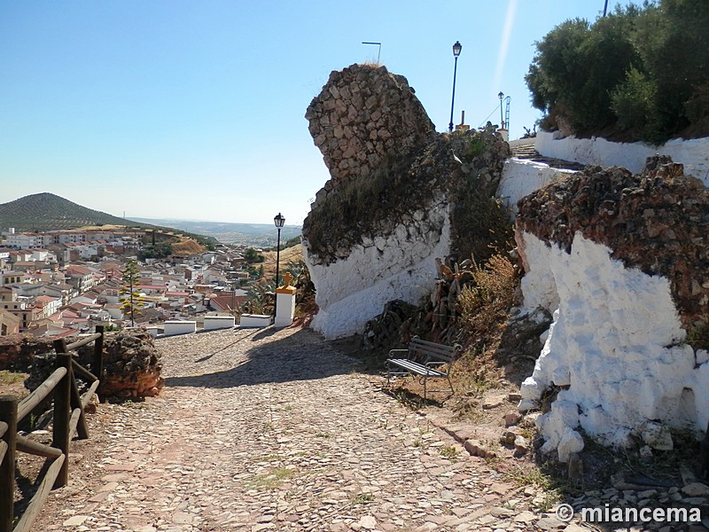 Castillo del Cerro de la Virgen