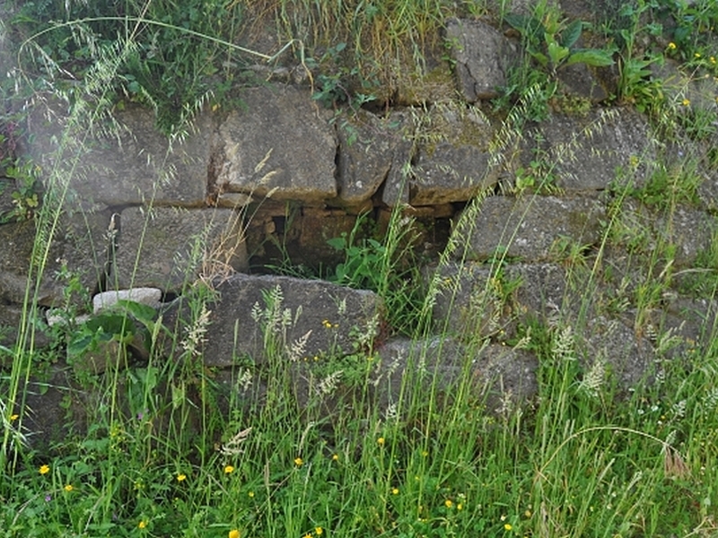 Castillo de Rocha Forte