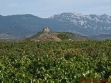 Castillo de Davalillo