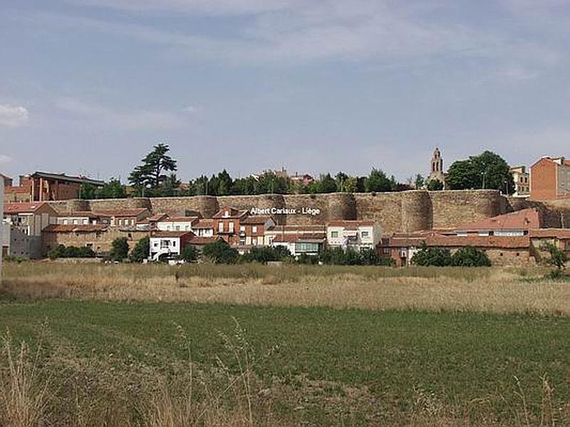 Muralla urbana de Astorga