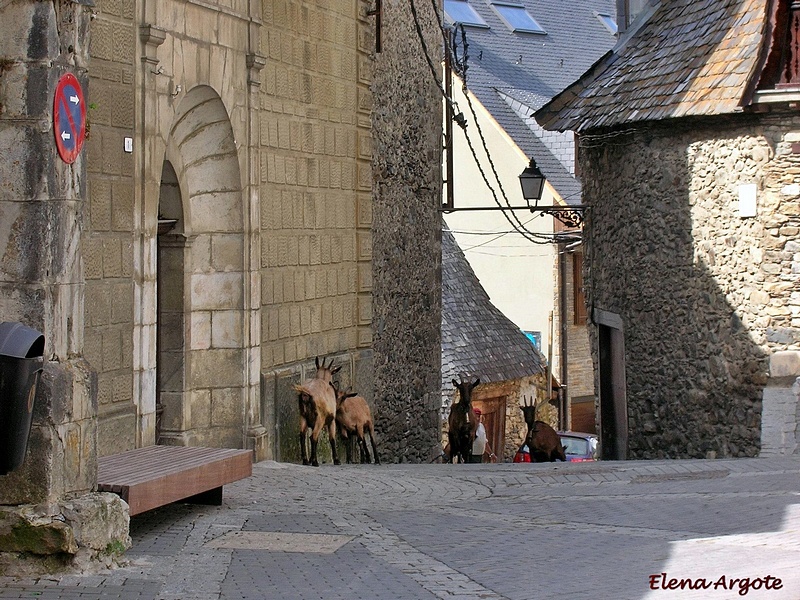 Iglesia de San Pedro